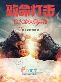 致命打击:枪火游侠佣兵路